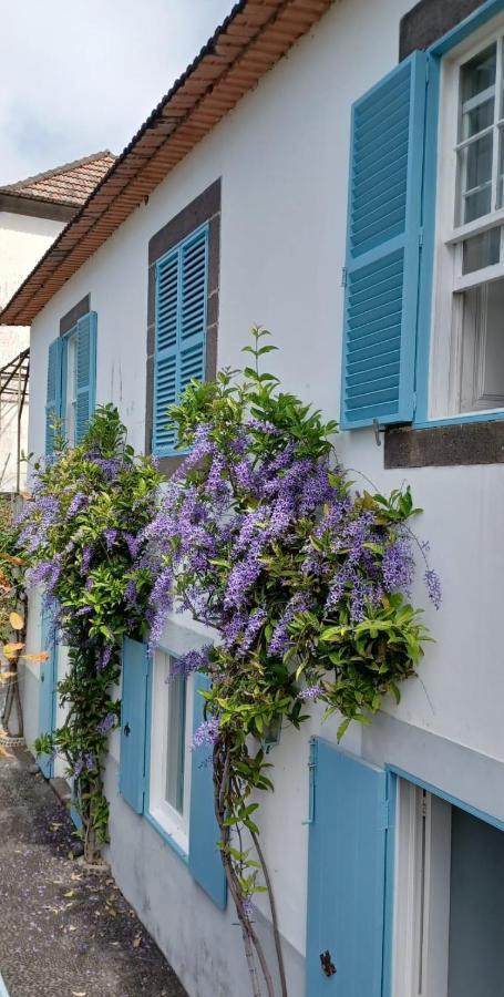 Casa Da Madalena Do Mar Villa Eksteriør bilde